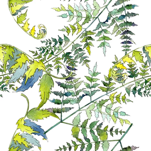 Páfrány zöld levelek. Akvarell háttér illusztráció meg. Folytonos háttérmintázat. — Stock Fotó