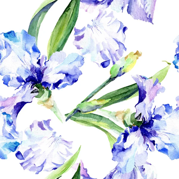 Iris violet fleurs botaniques florales. Ensemble d'illustration de fond aquarelle. Modèle de fond sans couture . — Photo