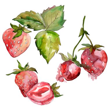 Çileksağlıklı yemek. Suluboya arka plan illüstrasyon seti. Suluboya çizim moda aquarelle izole. İzole berry illüstrasyon elemanı.