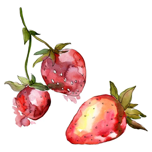 Fraise Alimentation Saine Ensemble Illustration Fond Aquarelle Aquarelle Dessin Mode — Photo