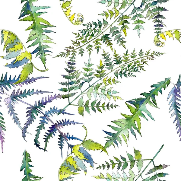 Feuilles de fougère verte. Ensemble d'illustration de fond aquarelle. Modèle de fond sans couture . — Photo