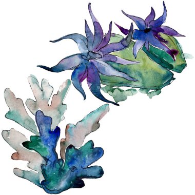 Renkli su sualtı doğa mercan resifi. Suluboya arka plan seti. İzole mercan illüstrasyon eleman.