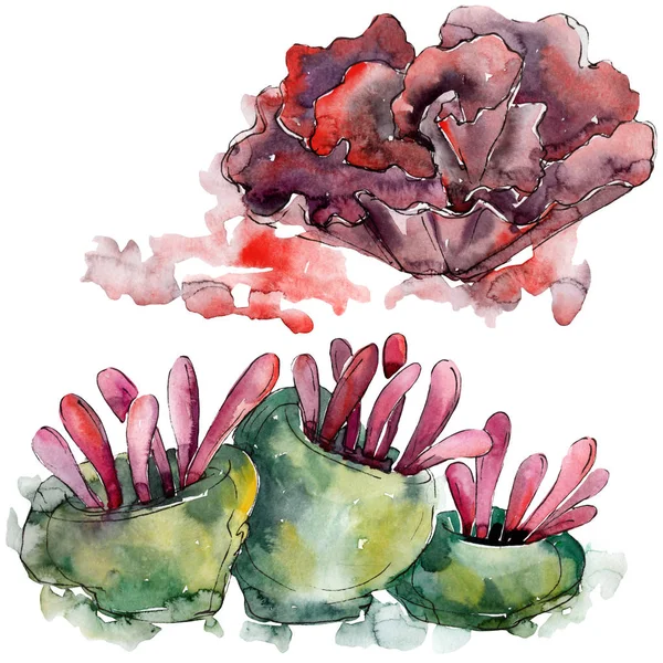 Kleurrijke aquatische onderwater natuur koraal rif. Aquarel achtergrond set. Geïsoleerde koraal illustratie element. — Stockfoto