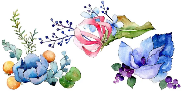 Ramo tropical de flores botánicas florales. Conjunto de ilustración de fondo acuarela. Ramos aislados elemento de ilustración . — Foto de Stock