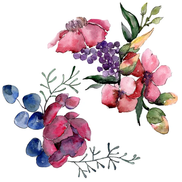 Fiori botanici floreali rossi bouquet. Acquerello sfondo illustrazione set. Mazzi isolati elemento illustrazione . — Foto Stock