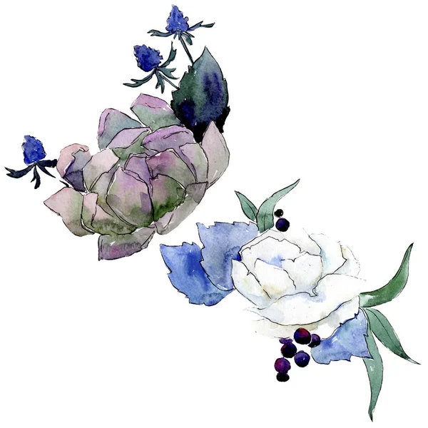 Bukiet kwiatowy kwiatów botanicznych. Akwarela zestaw ilustracji tła. Element ilustracji na białym tle bukiety. — Zdjęcie stockowe