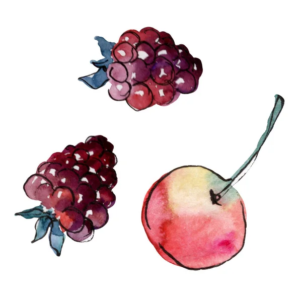 Taze elma ve ahududu sağlıklı gıda. Arka plan çizim seti. Suluboya çizim aquarelle izole. — Stok fotoğraf