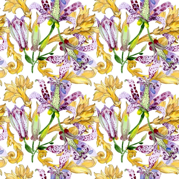 Tricyrtis viola fiori botanici floreali. Acquerello sfondo illustrazione set. Modello di sfondo senza soluzione di continuità . — Foto Stock