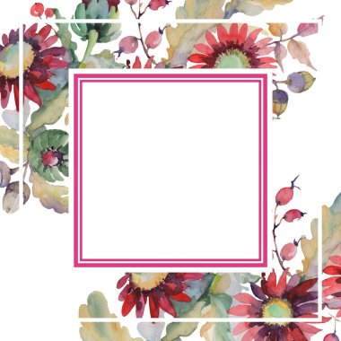 Kırmızı Aster ve meşe palamudu buket botanik çiçekler. Suluboya arka plan illüstrasyon seti. Çerçeve kenarlık süsleme kare.