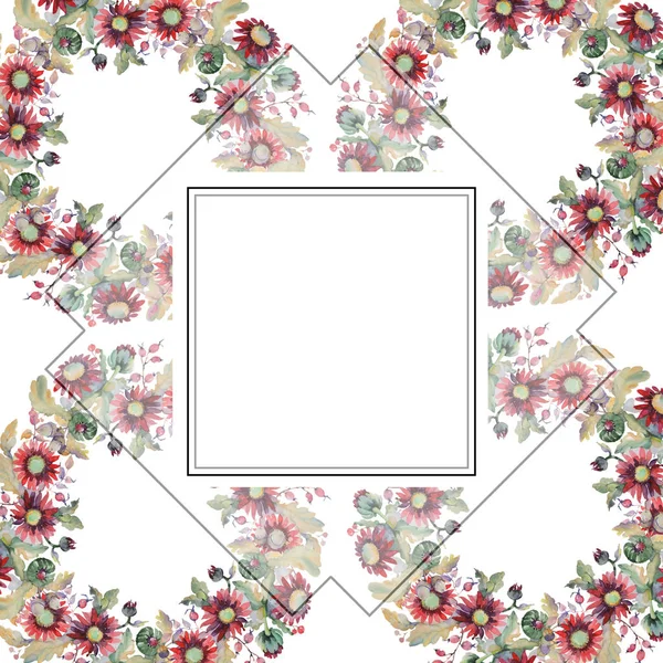 红的阿斯特和橡子花束植物花。水彩背景插图集。框架边框装饰正方形. — 图库照片