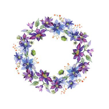Clematis çiçek botanik çiçekleri buket. Suluboya arka plan illüstrasyon seti. Çerçeve kenarlık süsleme kare.