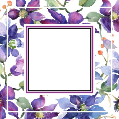 Clematis çiçek botanik çiçekleri buket. Suluboya arka plan illüstrasyon seti. Çerçeve kenarlık süsleme kare.