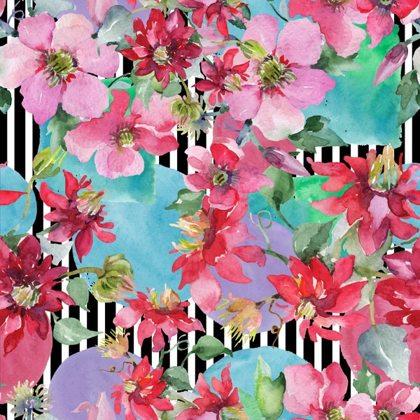 Bouquet Clematis fleurs botaniques florales. Ensemble d'illustration de fond aquarelle. Modèle de fond sans couture . — Photo
