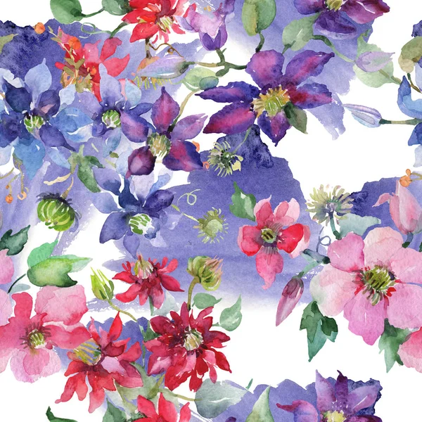Clematis buquê flores botânicas florais. Conjunto de ilustração de fundo aquarela. Padrão de fundo sem costura . — Fotografia de Stock