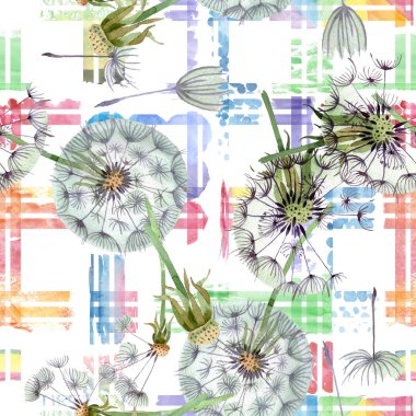 Tohumlu karahindiba lı top. Suluboya arka plan illüstrasyon seti. Kesintisiz arka plan deseni.