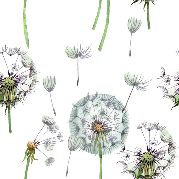 Löwenzahn Pusteblume mit Samen. Aquarell Hintergrundillustration Set. nahtloses Hintergrundmuster. — Stockfoto