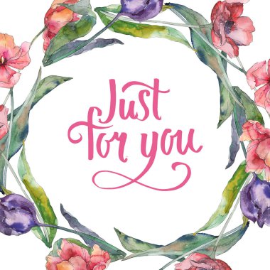 Kırmızı ve mor lale çiçek botanik akan. Suluboya arka plan illüstrasyon seti. Çerçeve kenarlık süs karesi.