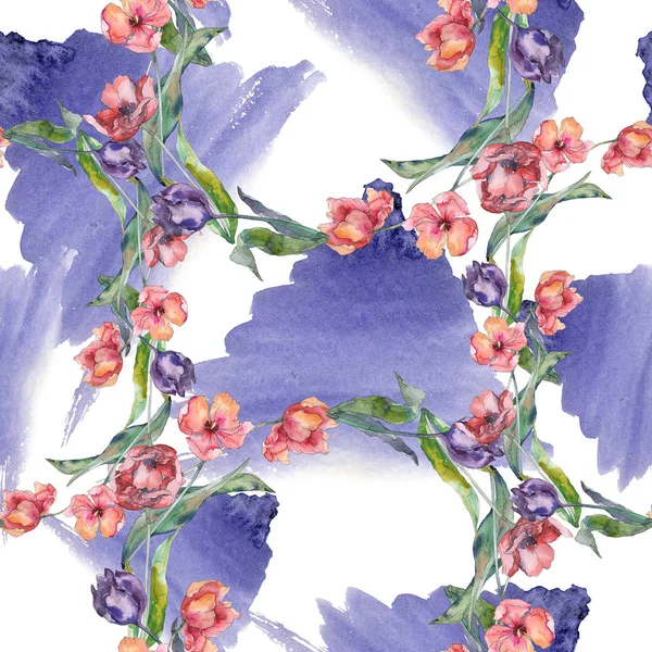 Květinové botanické květiny s červeným a fialovým Tulipán. Vodný obrázek pozadí-barevný. Bezespání vzorek pozadí. — Stock fotografie