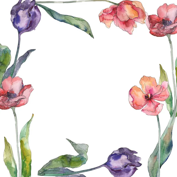 Röd och lila tulpan blommiga botaniska flowes. Akvarell bakgrund illustration uppsättning. Ram kant prydnad kvadrat. — Stockfoto