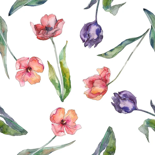 Flujos botánicos florales de tulipán rojo y morado. Conjunto de ilustración de fondo acuarela. Patrón de fondo sin costuras . — Foto de Stock