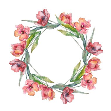 Kırmızı lale çiçek botanik akan. Suluboya arka plan illüstrasyon seti. Çerçeve kenarlık süs karesi.