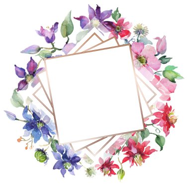 Clematis çiçek botanik çiçekleri buket. Suluboya arka plan illüstrasyon seti. Çerçeve kenarlık süsleme kare.