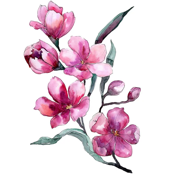 紫色の花束花植物の花。●水彩背景イラストセット。孤立した花束イラスト要素. — ストック写真