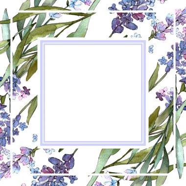 Mavi mor lavanta çiçek botanik çiçekler. Suluboya arka plan illüstrasyon seti. Çerçeve kenarlık süs karesi.