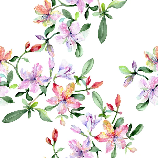 Violeta alstroemeria buquê flores botânicas florais. Conjunto de ilustrações aquarela. Padrão de fundo sem costura . — Fotografia de Stock
