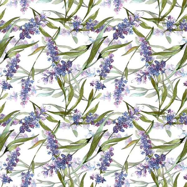 Azul violeta lavanda flores botânicas florais. Conjunto de ilustração de fundo aquarela. Padrão de fundo sem costura . — Fotografia de Stock