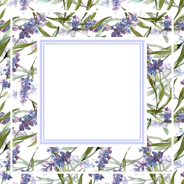 Niebieski fioletowy lawendy kwiatowy kwiatów botanicznych. Akwarela zestaw ilustracji tła. Obramowanie ramy ornament kwadrat. — Zdjęcie stockowe