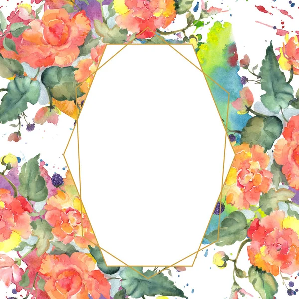 Πορτοκαλί μπουκέτο τριαντάφυλλο floral βοτανικών λουλουδιών. Σύνολο εικονογράφησης φόντου. Κορνίζα περίγραμμα στολίδι τετράγωνο. — Φωτογραφία Αρχείου