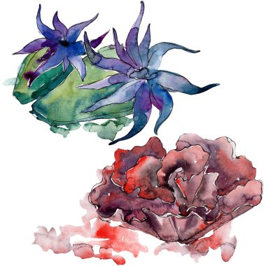 Renkli su sualtı doğa mercan resifi. Suluboya arka plan seti. İzole mercan illüstrasyon eleman.