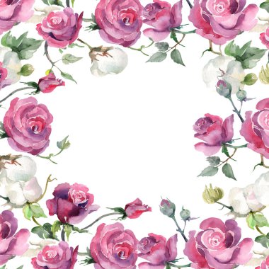 Pembe gül ve cottton buketçiçek botanik çiçekler. Yabani bahar yaprağı kır çiçeği. Suluboya arka plan illüstrasyon seti. Suluboya çizim moda aquarelle. Çerçeve kenarlık süs karesi.