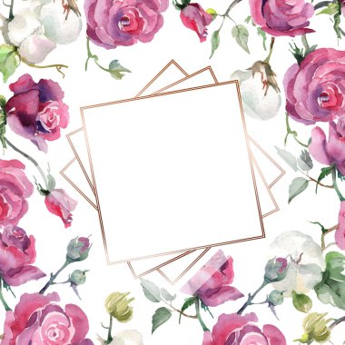 Pembe gül ve pamuk buketi çiçek botanik çiçekleri. Yabani bahar yaprağı kır çiçeği. Suluboya arka plan illüstrasyon seti. Suluboya çizim moda aquarelle. Çerçeve kenarlık süs karesi.