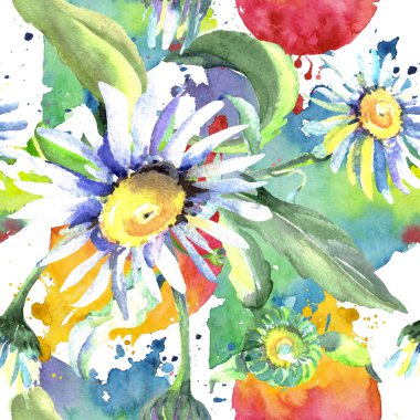 Beyaz papatya çiçek botanik çiçekler. Suluboya arka plan illüstrasyon seti. Kesintisiz arka plan deseni.