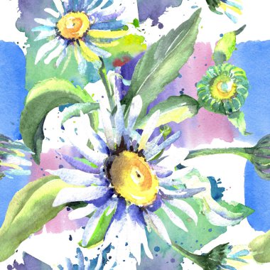 Beyaz papatya çiçek botanik çiçekler. Suluboya arka plan illüstrasyon seti. Kesintisiz arka plan deseni.