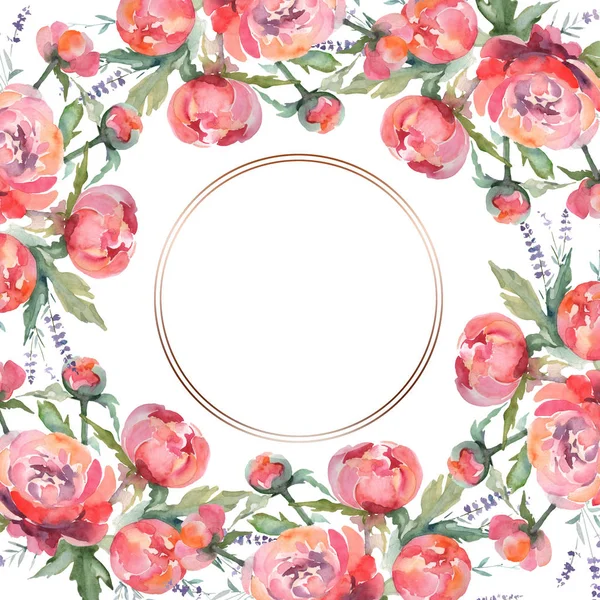 Ροζ ανθοδέσμη παιωνία λουλουδιών λουλουδιών βοτανικών. Σύνολο εικονογράφησης φόντου. Κορνίζα περίγραμμα στολίδι τετράγωνο. — Φωτογραφία Αρχείου