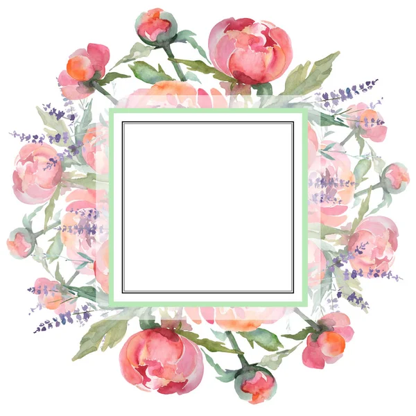 Ροζ ανθοδέσμη παιωνία λουλουδιών λουλουδιών βοτανικών. Σύνολο εικονογράφησης φόντου. Κορνίζα περίγραμμα στολίδι τετράγωνο. — Φωτογραφία Αρχείου