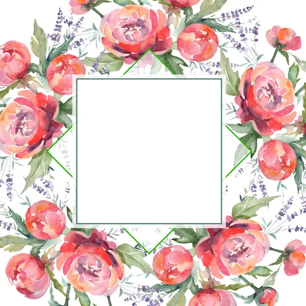 Ramo de peonía rosa flores botánicas florales. Conjunto de ilustración de fondo acuarela. Marco borde ornamento cuadrado . —  Fotos de Stock