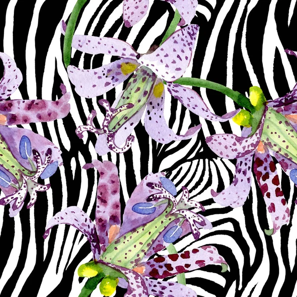 バイオレットトリカルティス花植物の花。●水彩背景イラストセット。シームレスな背景パターン. — ストック写真