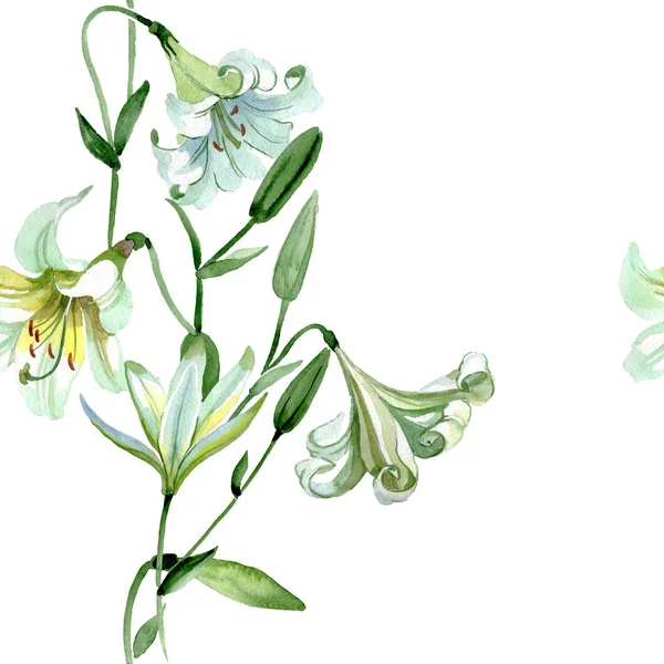 Biała lilia kwiatowy kwiatów botanicznych. Akwarela zestaw ilustracji tła. Płynny wzór tła. — Zdjęcie stockowe