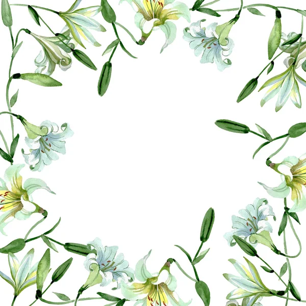 Flores botánicas florales de lirio blanco. Conjunto de ilustración de fondo acuarela. Marco borde ornamento cuadrado . —  Fotos de Stock
