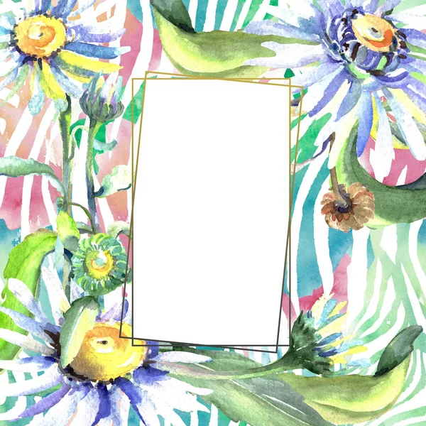 Vit Daisy blommiga botaniska blommor. Akvarell bakgrund illustration uppsättning. Ram kant prydnad kvadrat. — Stockfoto