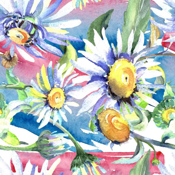 Fleurs botaniques florales de marguerite blanche. Ensemble d'illustration de fond aquarelle. Modèle de fond sans couture . — Photo