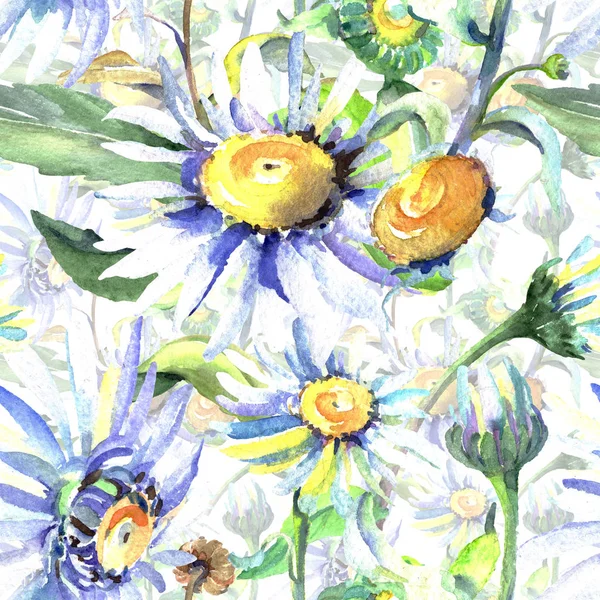 Weißes Gänseblümchen, botanische Blüten. Aquarell Hintergrundillustration Set. nahtloses Hintergrundmuster. — Stockfoto