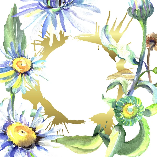 Margarida branca flores botânicas florais. Conjunto de ilustração de fundo aquarela. Quadro borda ornamento quadrado . — Fotografia de Stock