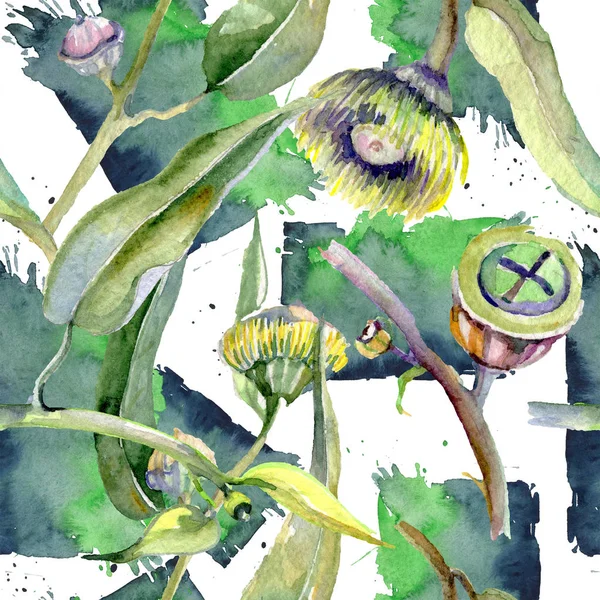 Eukalyptus blommiga botaniska blommor. Akvarell bakgrunds illustration uppsättning. Sömlöst bakgrunds mönster. — Stockfoto