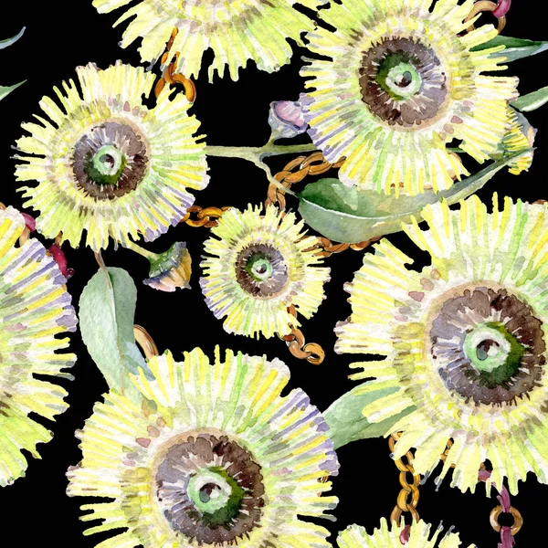Eukaliptusa kwiatowy kwiatów botanicznych. Akwarela zestaw ilustracji tła. Płynny wzór tła. — Zdjęcie stockowe
