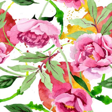 Pembe peony çiçek botanik çiçekler. Suluboya arka plan illüstrasyon küme. Sorunsuz arka plan deseni.